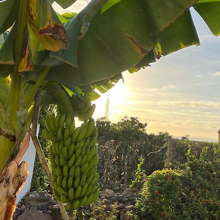 Un Paraiso En Tenerife Vila Punta Del Hidalgo Exterior foto